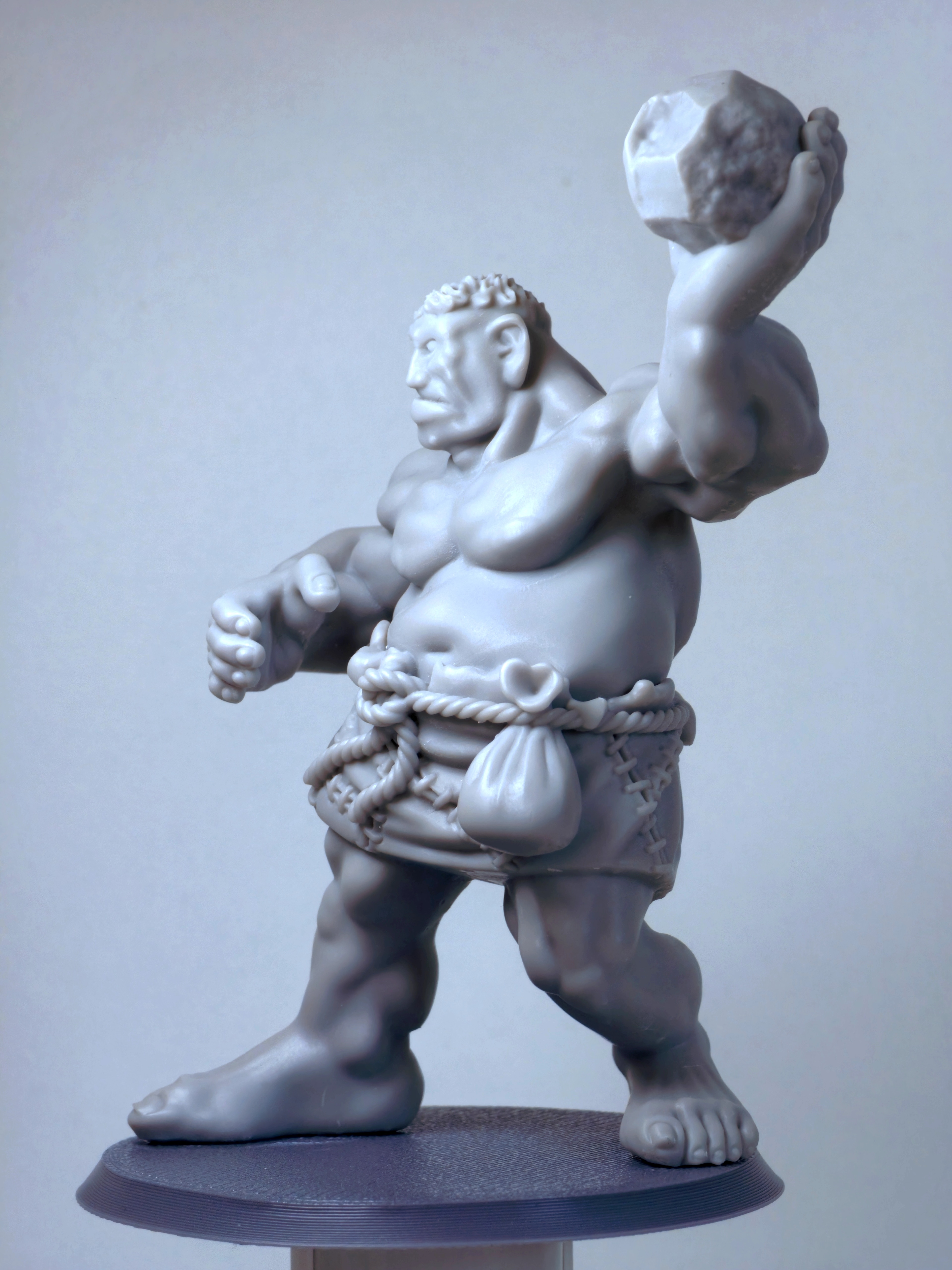 Hill Giant Boulder – Image 2