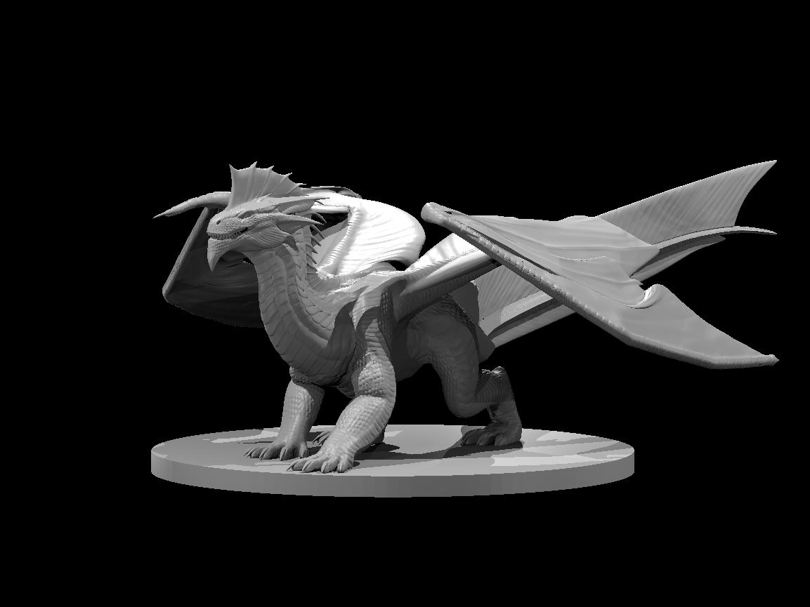 Young Silver Dragon – Image 1