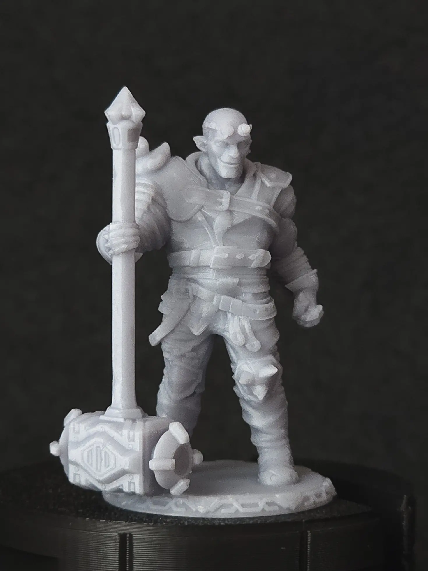 Oakley And The Rat + Rogal D&D Characters – Image 3
