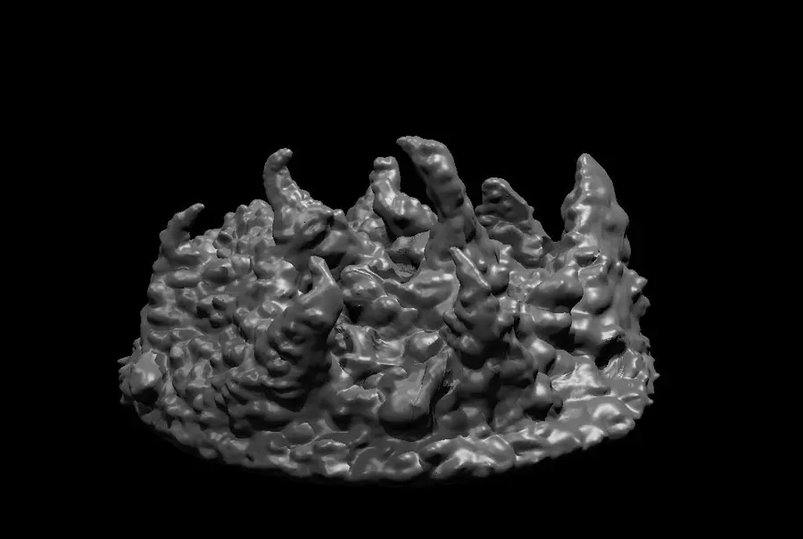 Black Pudding – Image 2