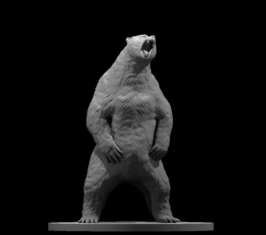Brown Bear – Image 2