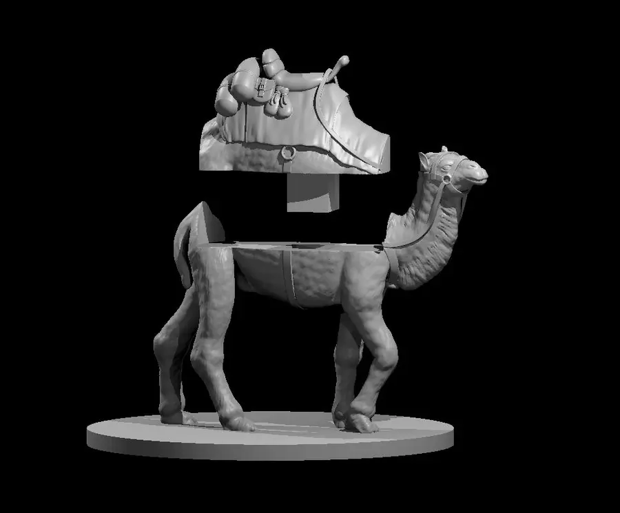 Camel – Image 3