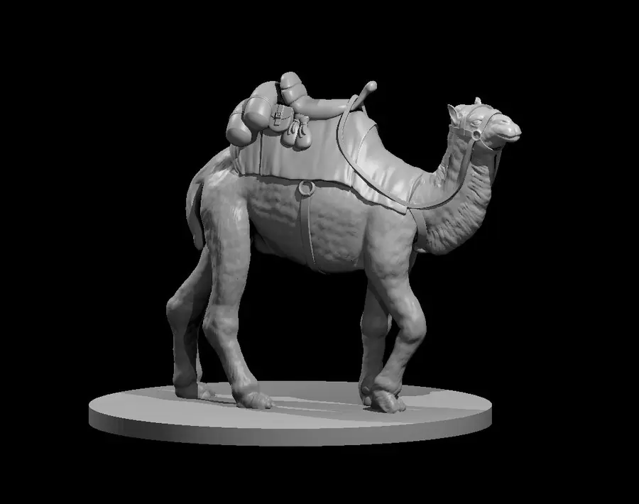 Camel – Image 2