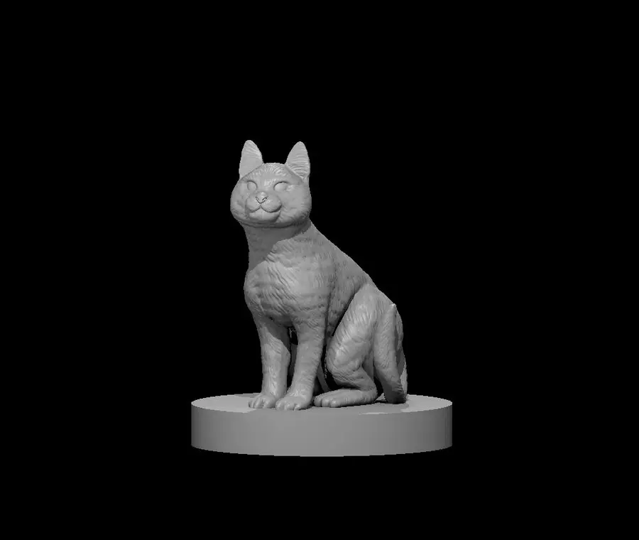 Cat – Image 3
