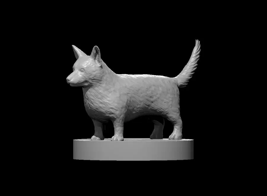 Corgi – Image 2
