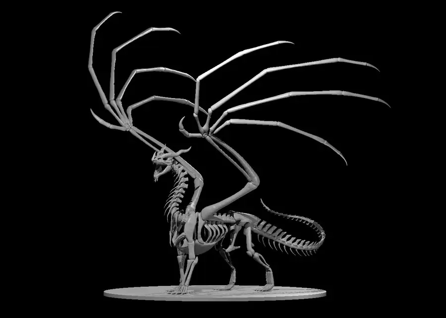 Dragon Skeleton – Image 2