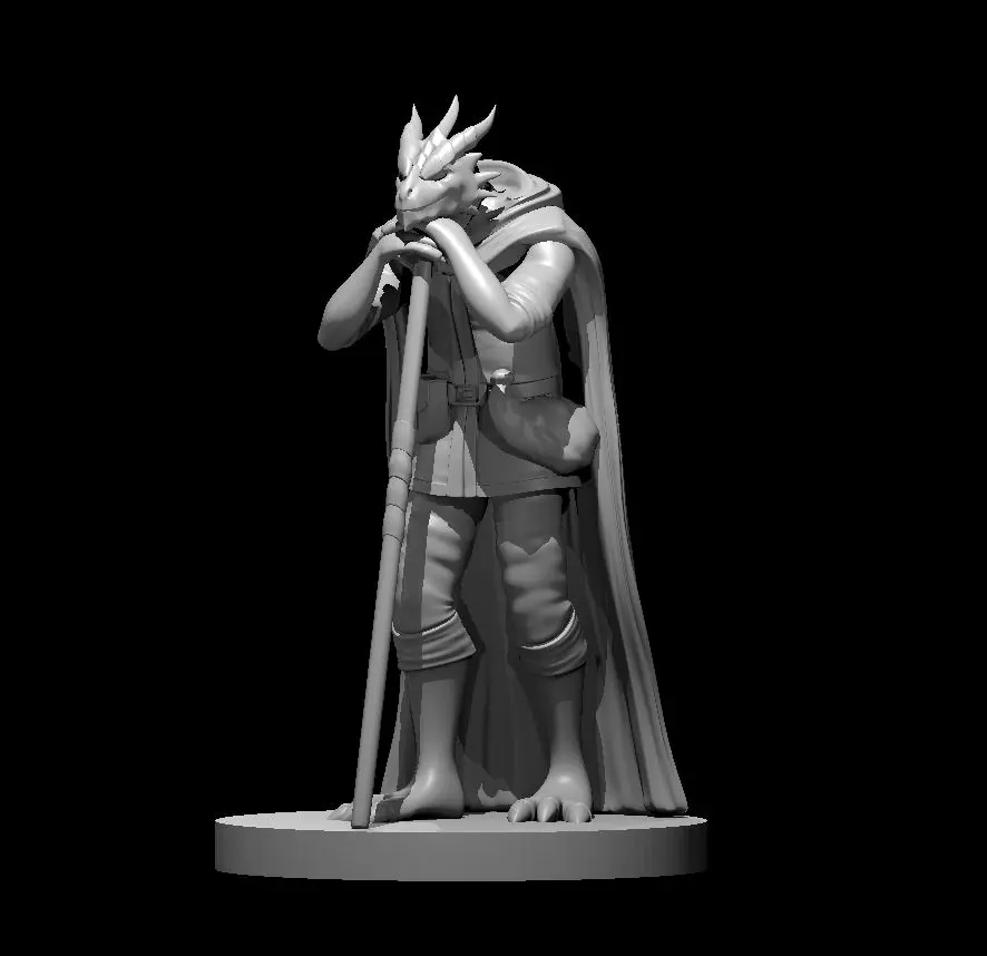 Dragonborn Druid – Image 3