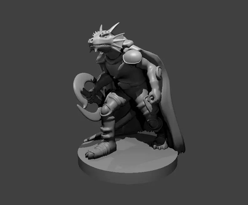 Dragonborn Fighter – Image 2