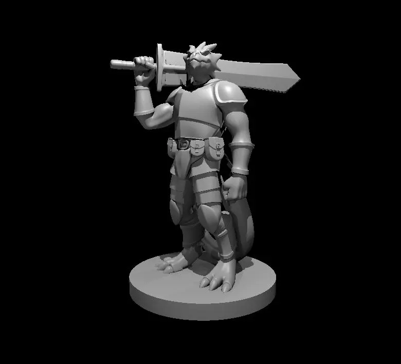 Dragonborn Fighter – Image 5