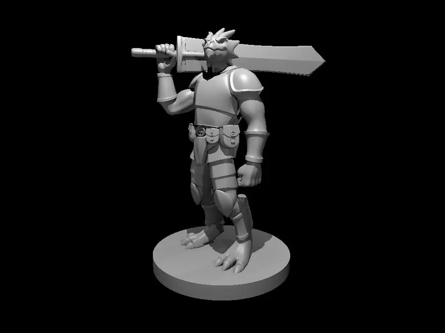 Dragonborn Fighter – Image 6