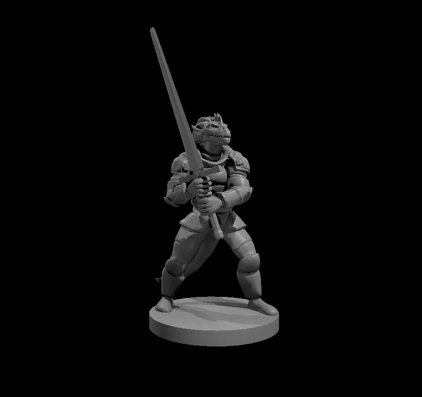 Dragonborn Fighter – Image 7