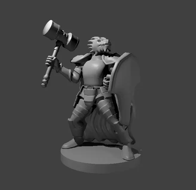 Dragonborn Fighter – Image 8