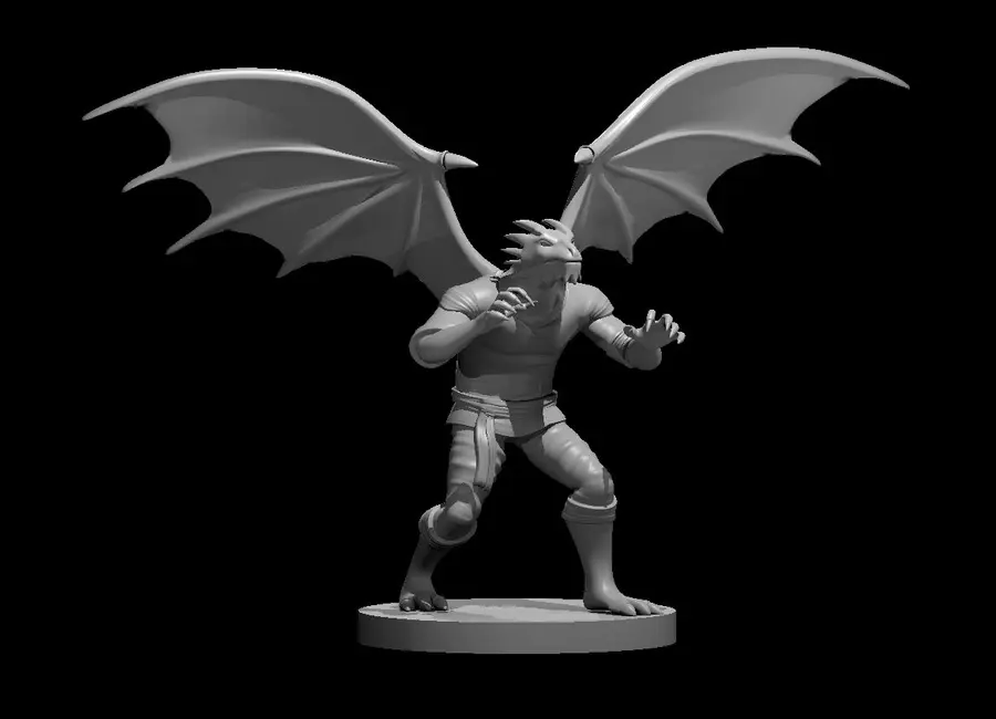 Dragonborn Monk – Image 2