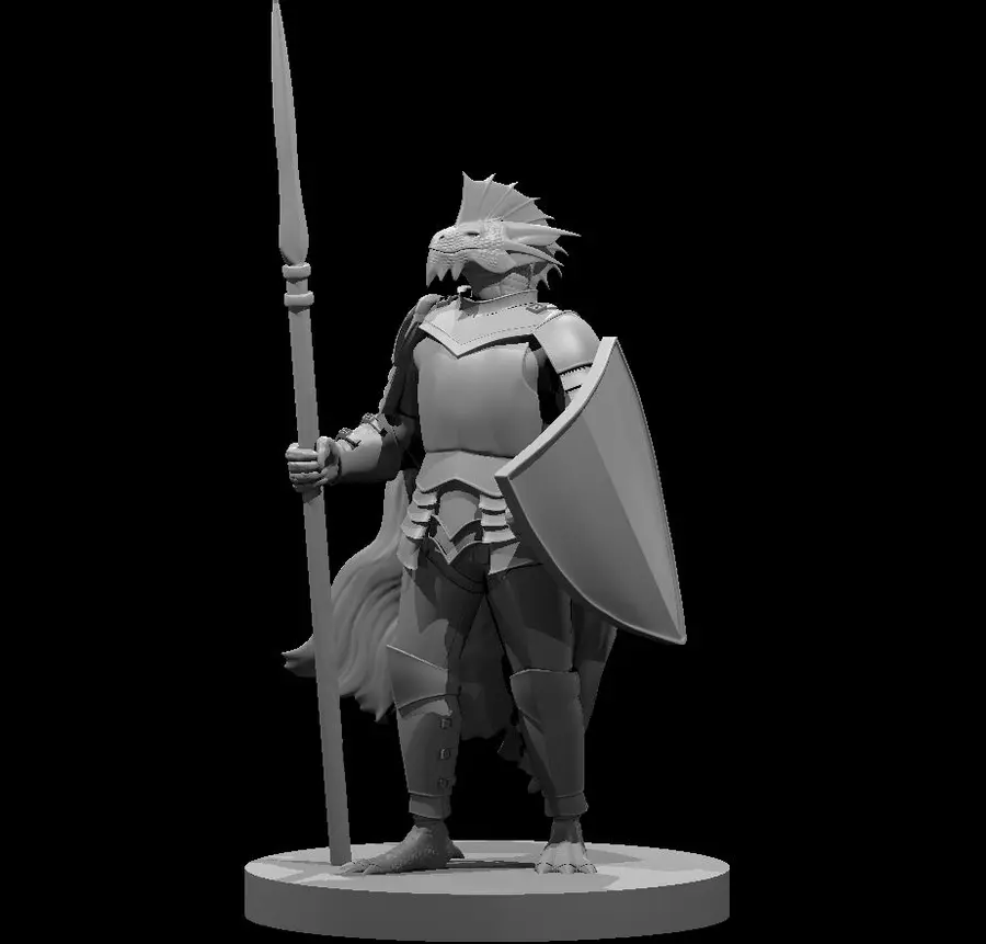 Dragonborn Paladin – Image 2