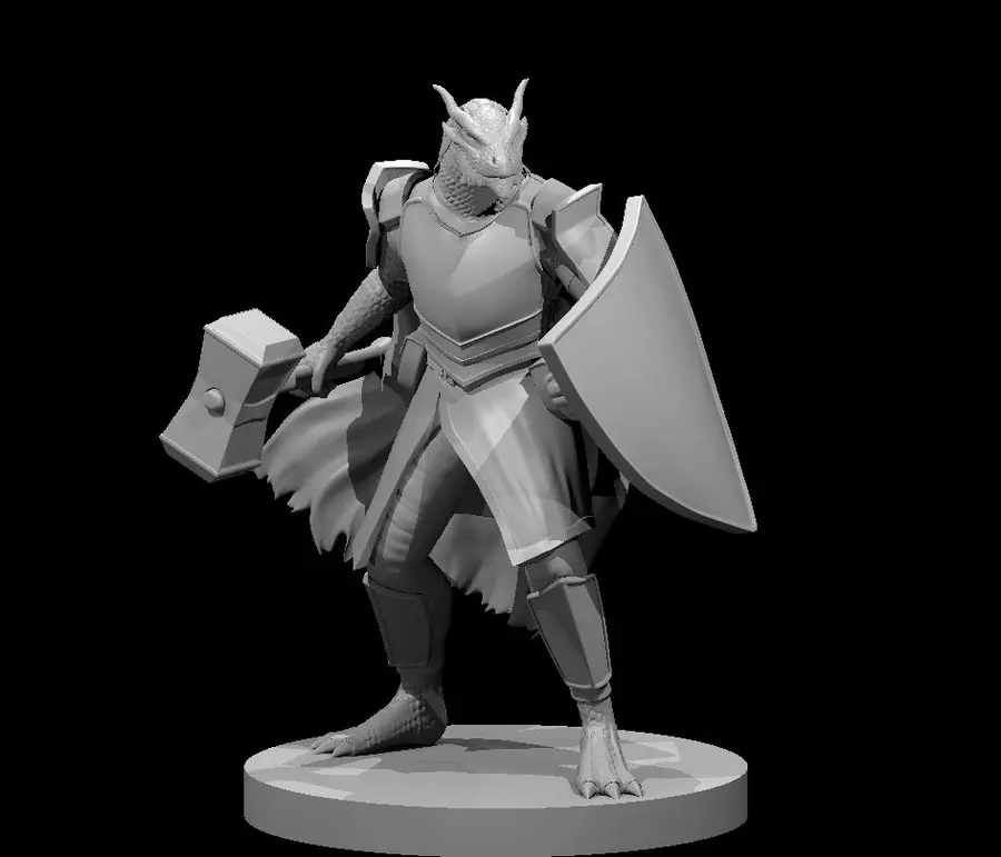 Dragonborn Paladin – Image 3