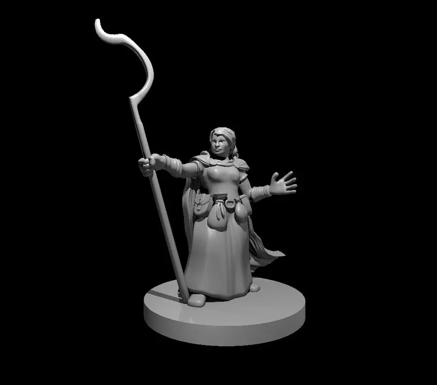 Dwarf Druid – Image 2