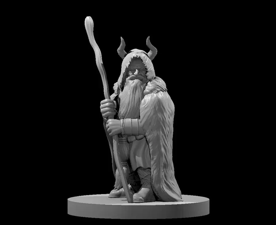 Dwarf Druid – Image 4