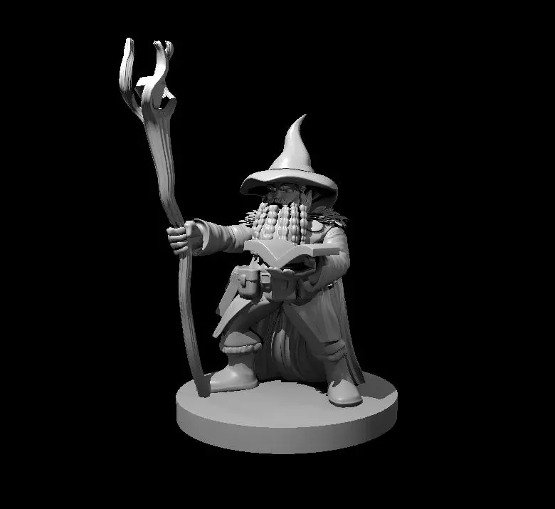 Dwarf Wizard – Image 2