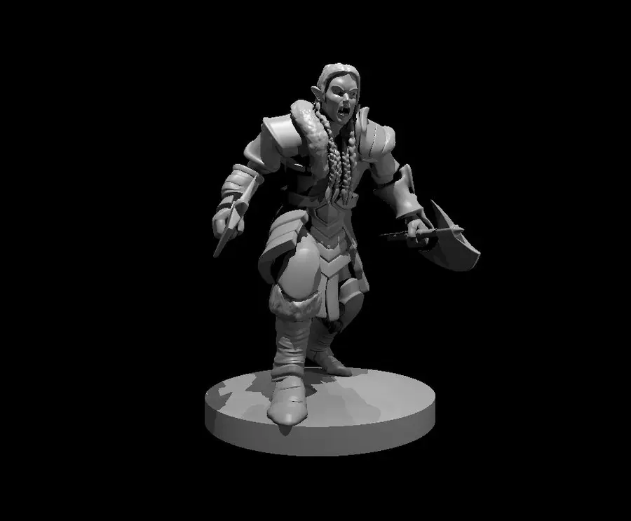 Elf Barbarian – Image 4