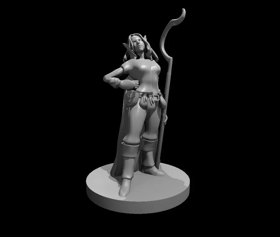 Elf Druid – Image 2