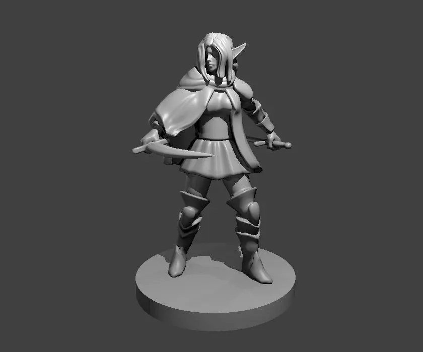 Elf Fighter – Image 5