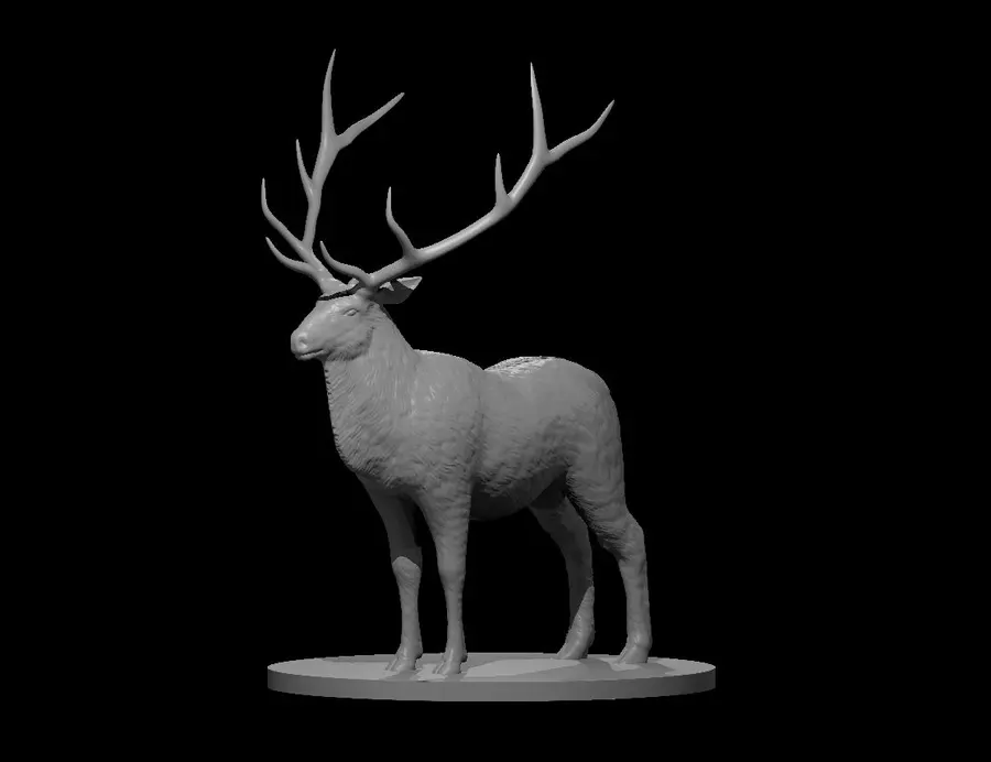 Elk – Image 2