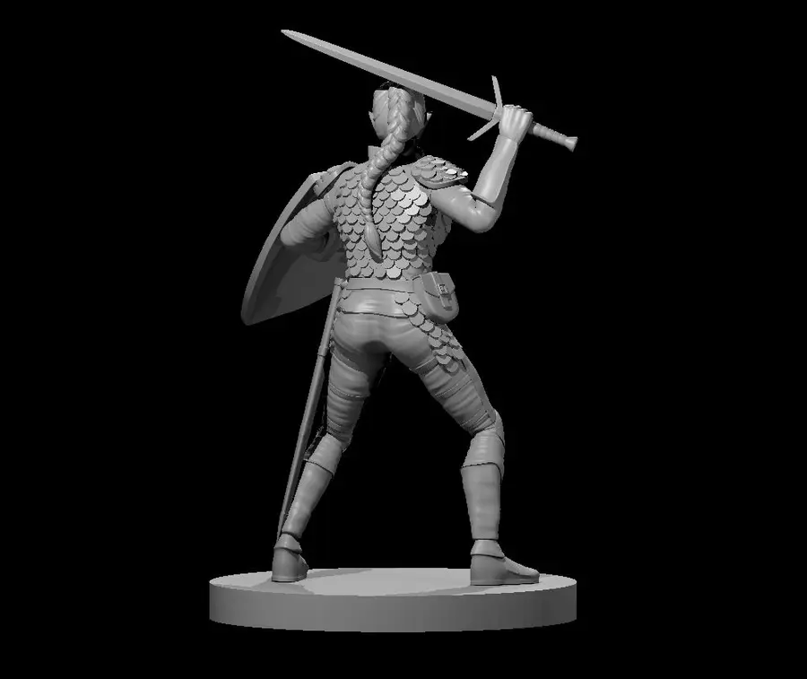 Elven Paladin – Image 2