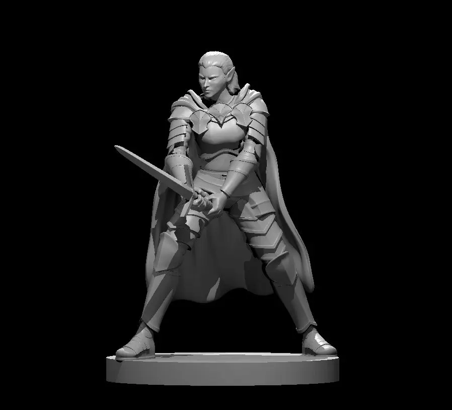 Elven Paladin – Image 3