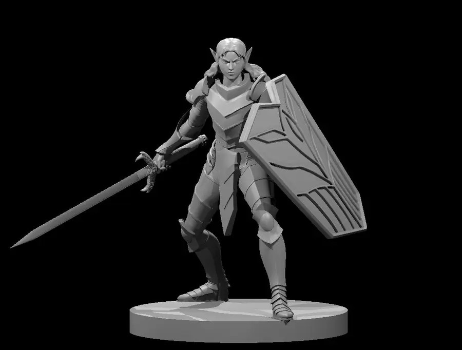 Elven Paladin – Image 4