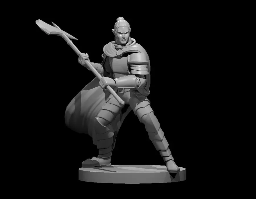 Elven Paladin – Image 6