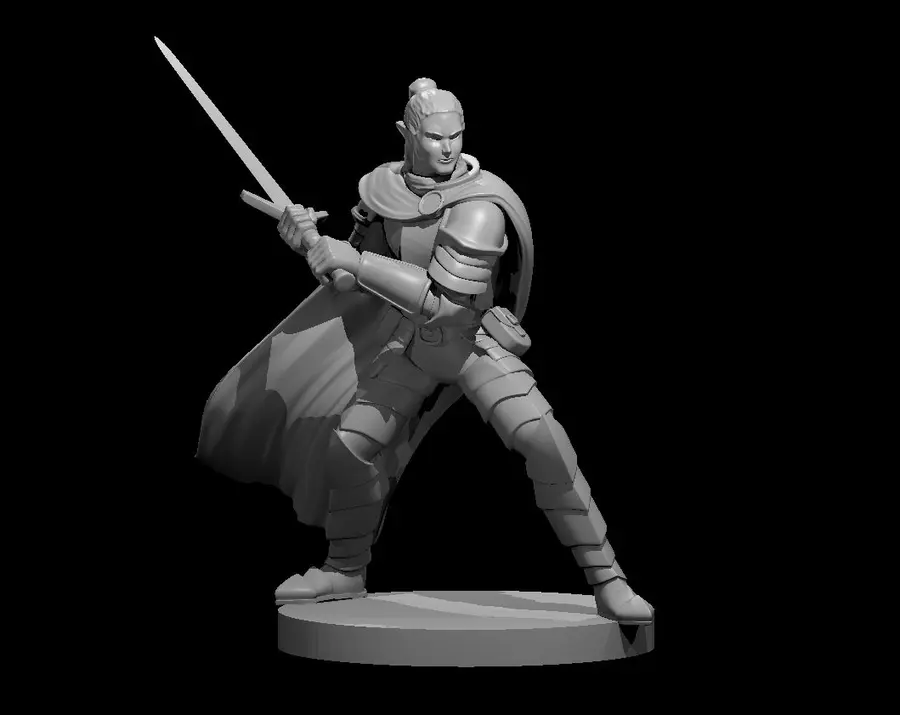 Elven Paladin – Image 5