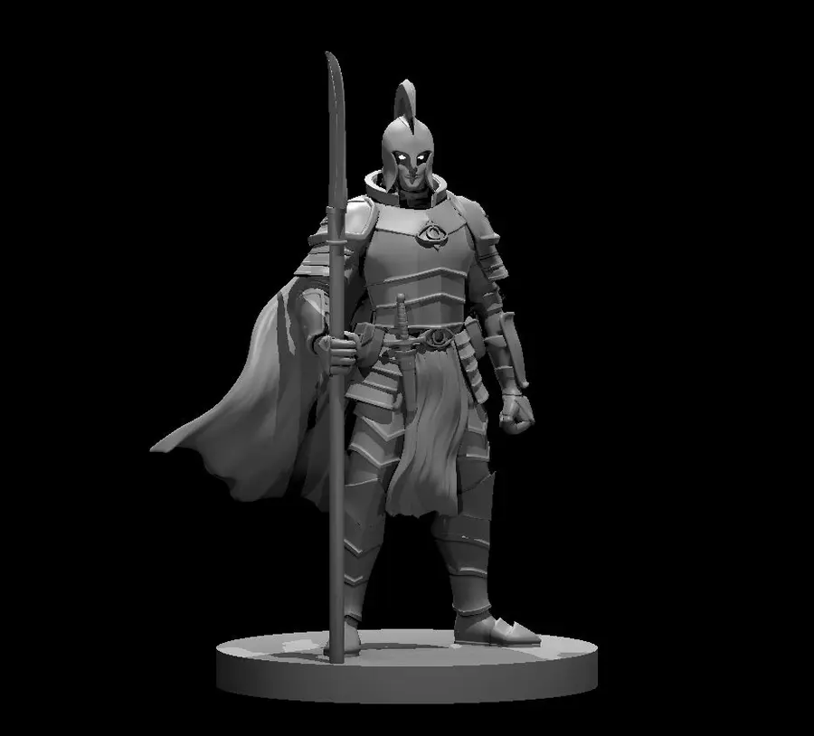 Elven Paladin – Image 8