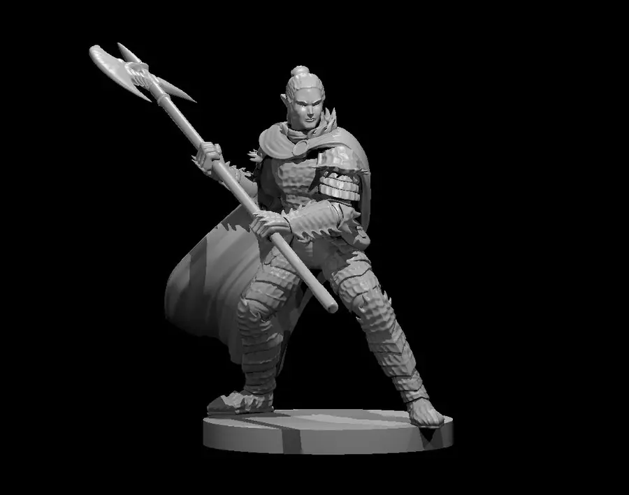 Elven Paladin – Image 10