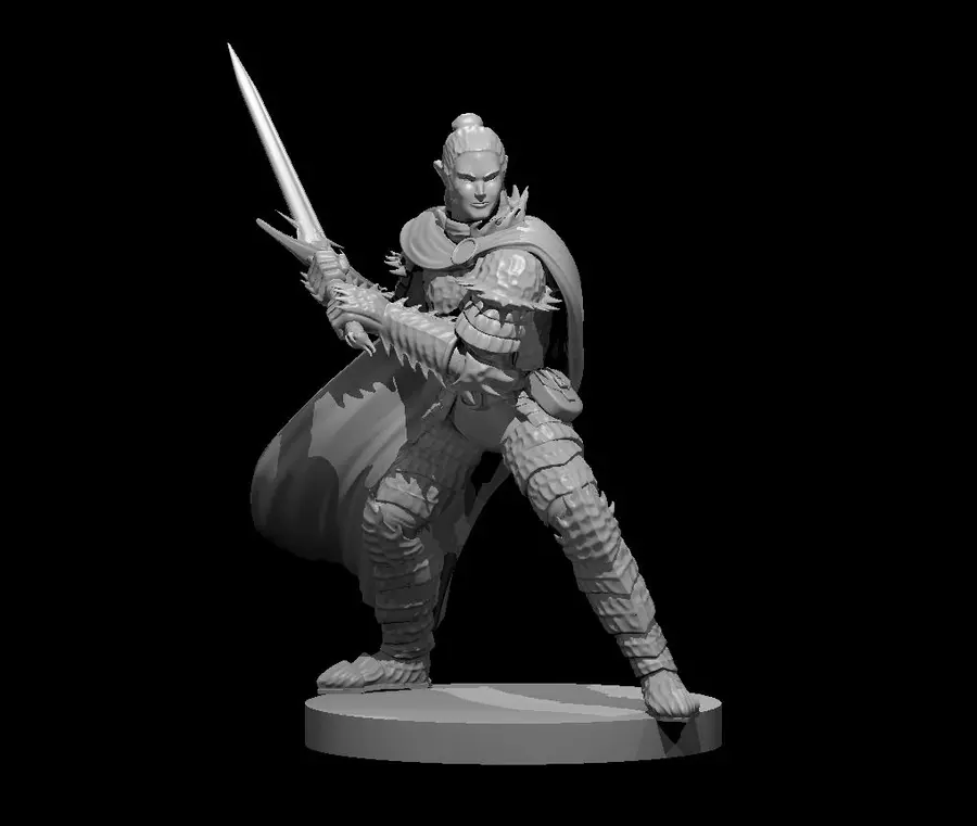 Elven Paladin – Image 9