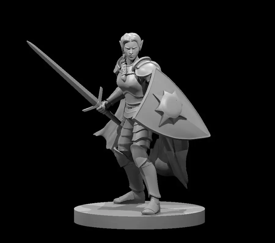 Elven Paladin – Image 11