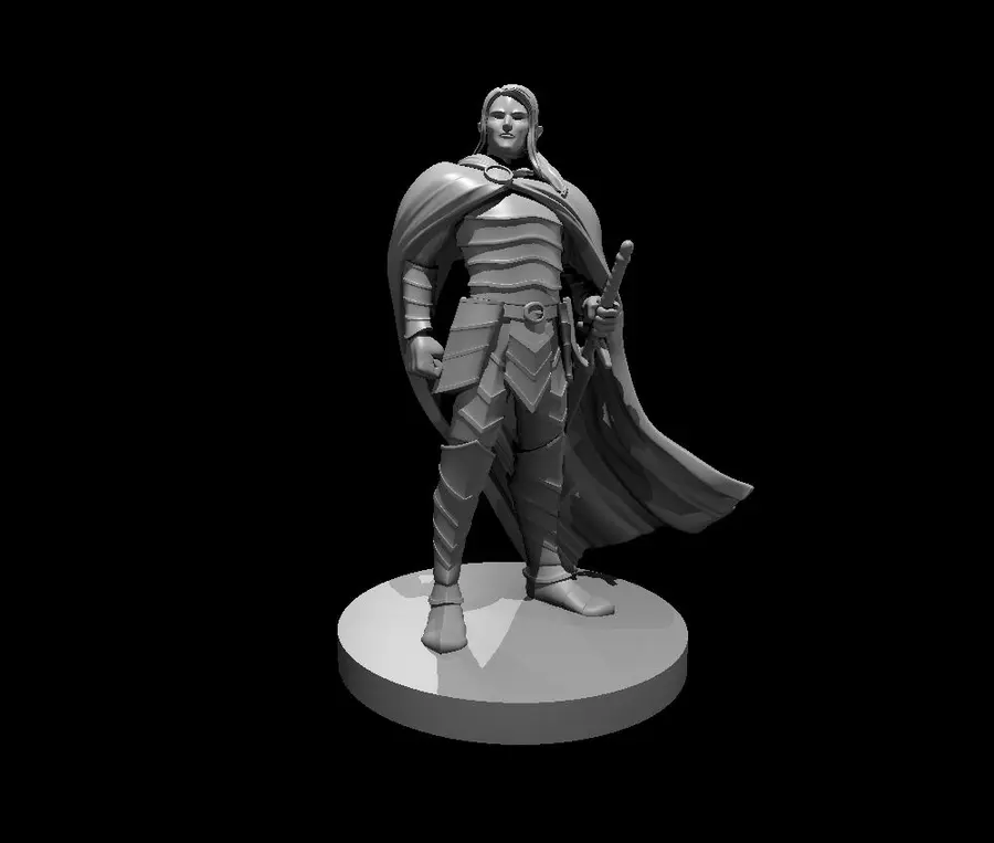 Elven Paladin – Image 12