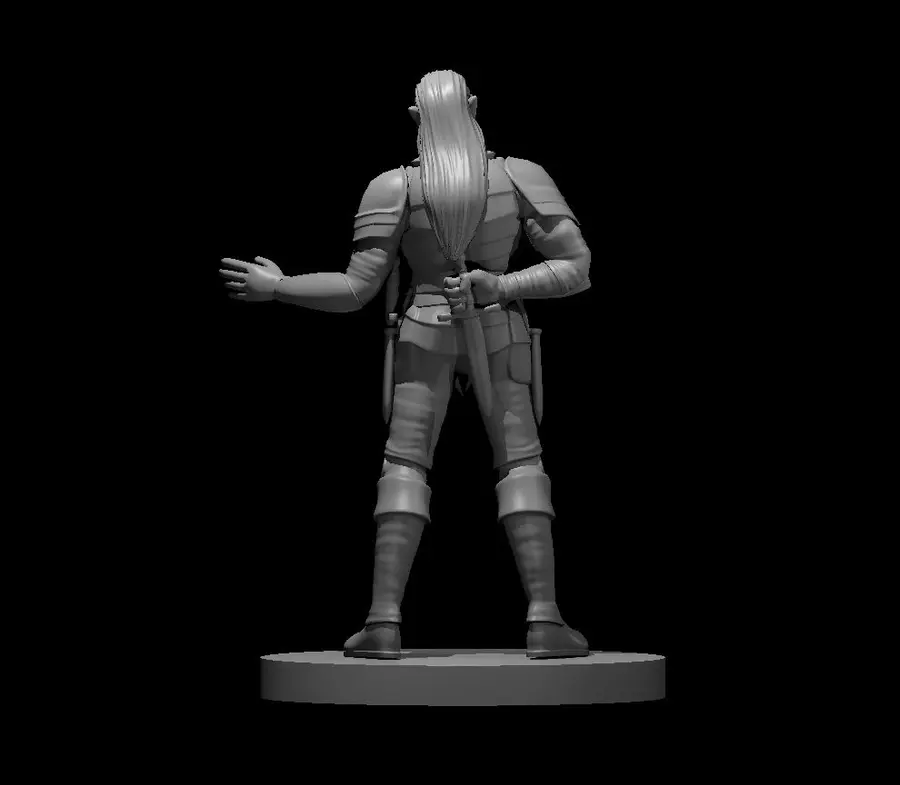 Elven Rogue – Image 2