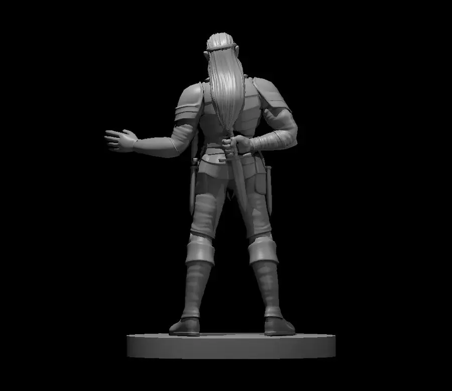 Elven Rogue – Image 4