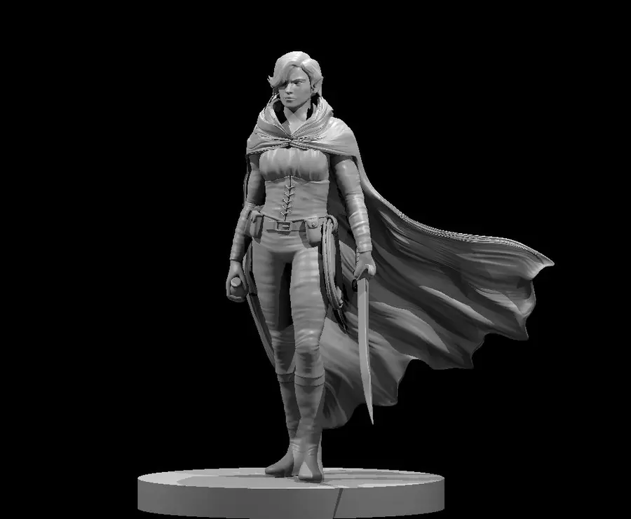 Elven Rogue – Image 5