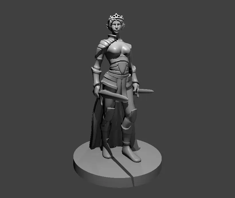 Elven Rogue – Image 6