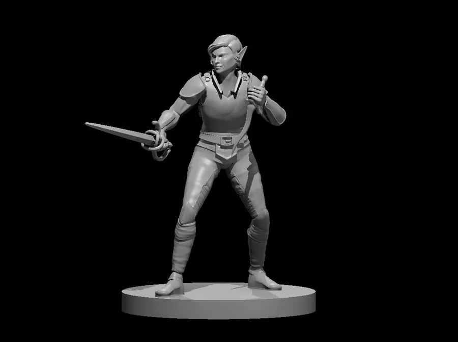 Elven Rogue – Image 7