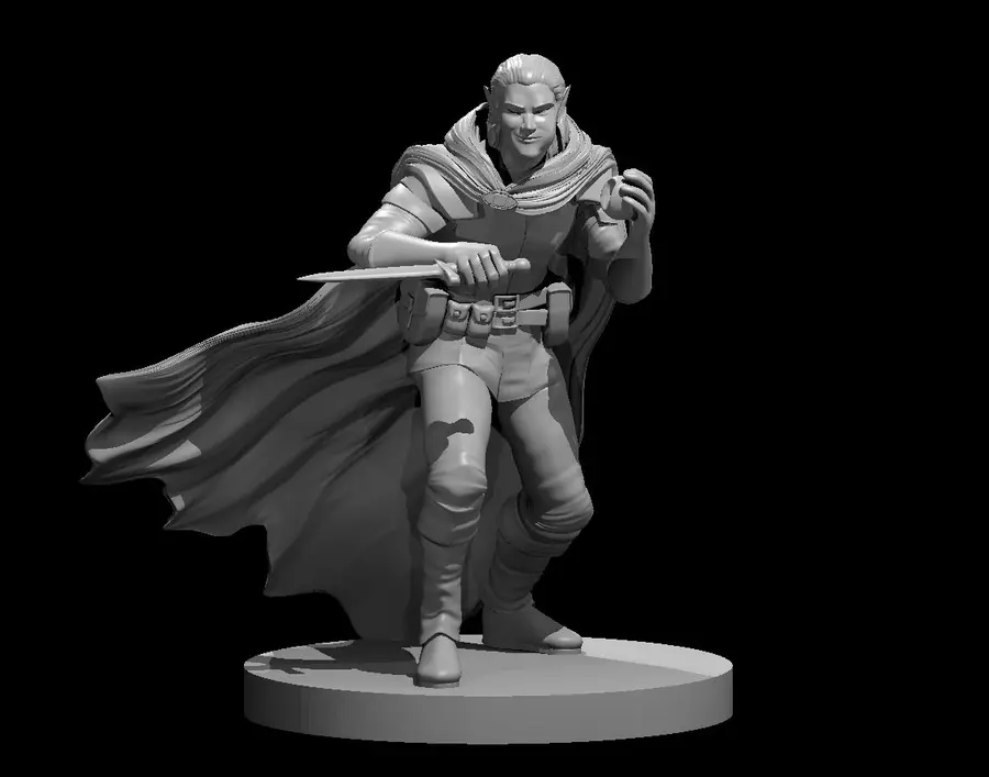 Elven Rogue – Image 9