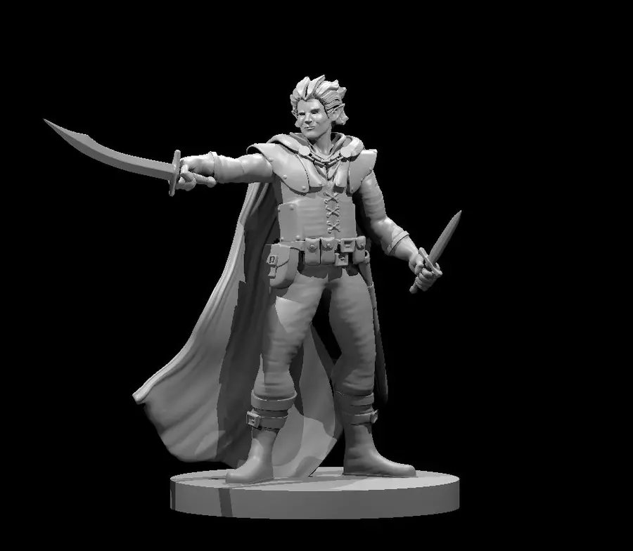 Elven Rogue – Image 10
