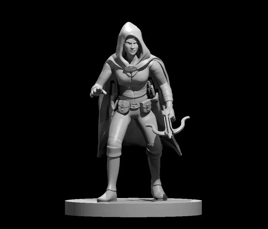 Elven Rogue – Image 12