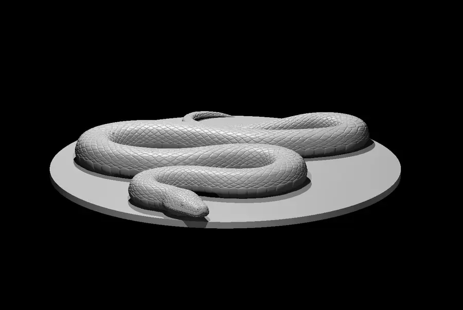 Giant Constrictor Snake – Image 2