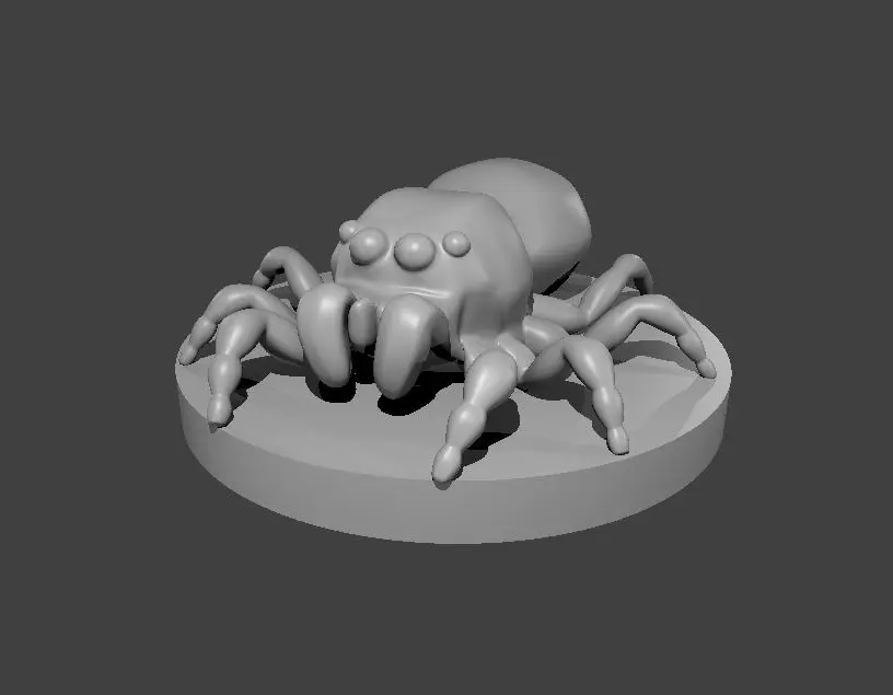 Giant Jumping Spider – Image 2