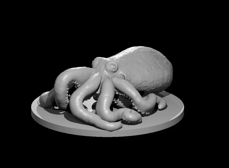 Giant Octopus – Image 2
