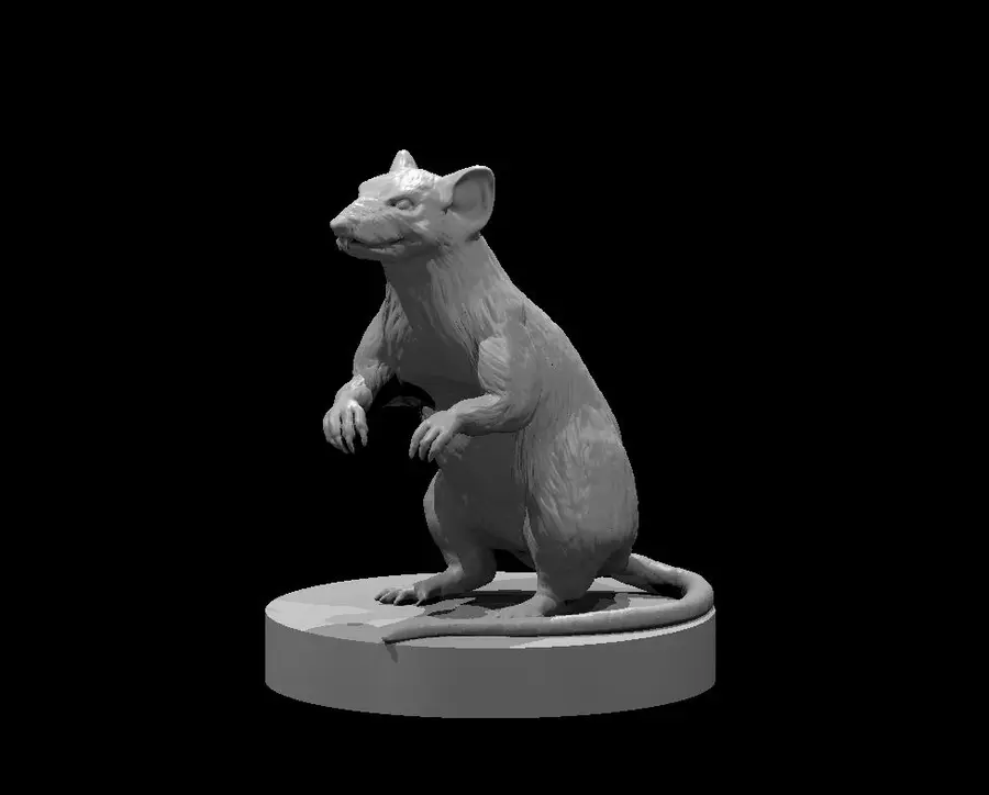 Giant Rat – Image 2
