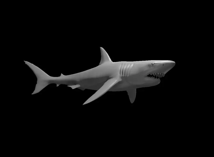 Giant Shark – Image 2