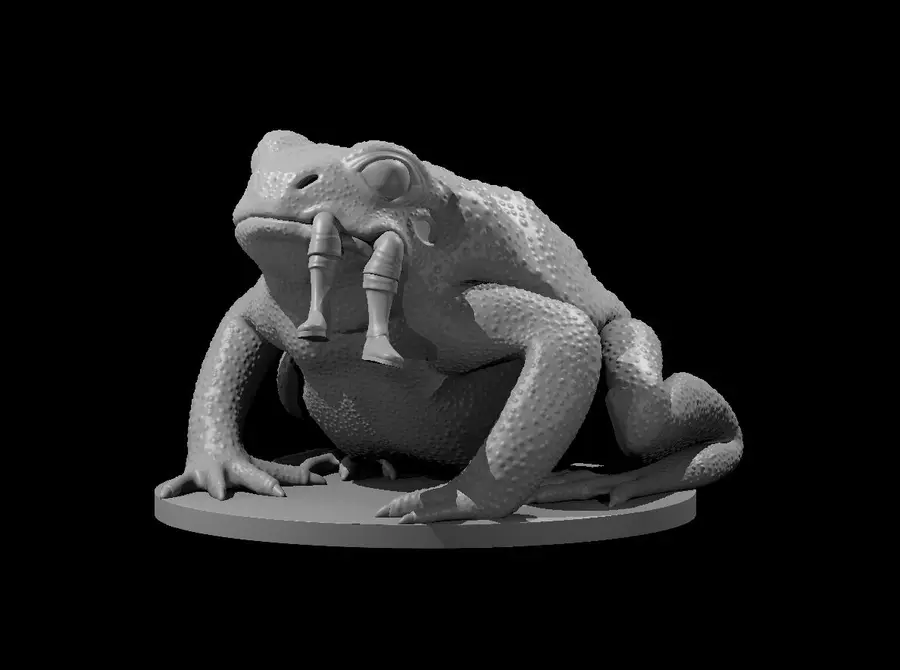 Giant Toad – Image 2